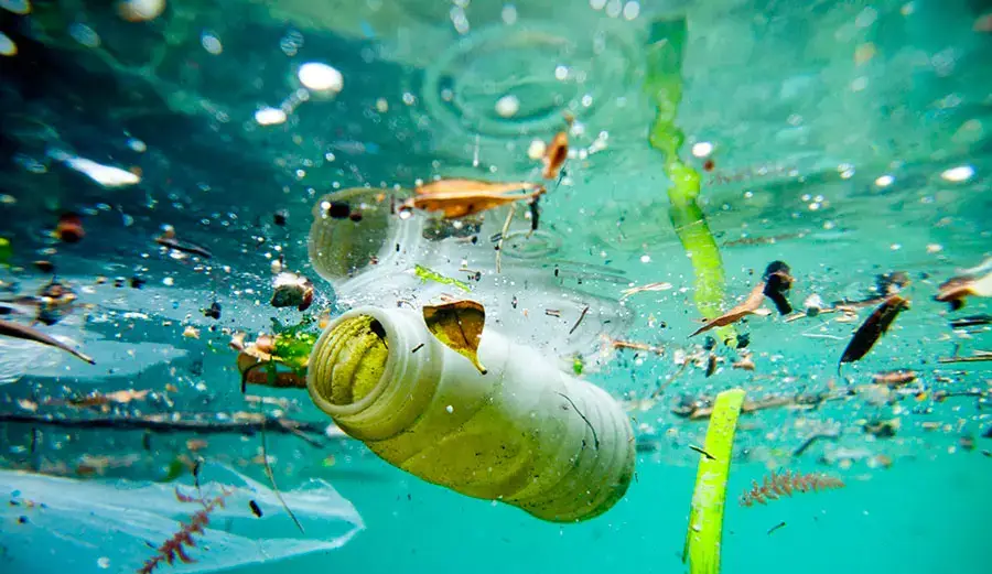 Underwater scene depicting plastic pollution, with a discarded bottle surrounded by debris and plant matter, highlighting ocean pollution issues relevant to Carnival Corporation's pledge to reduce environmental impact.