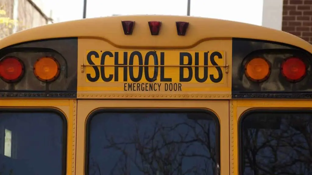 bus 1319360 1280