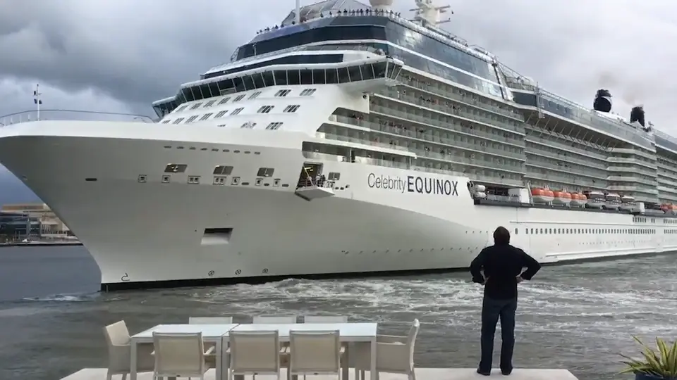 Cruise ship Celebrity Equinox navigating close to shore, with onlooker observing from a waterfront setting, highlighting maritime safety concerns.