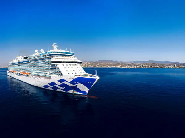 Princess Cruises Passenger Alleges Rape by Art Auctioneer on Cruise, Files Lawsuit