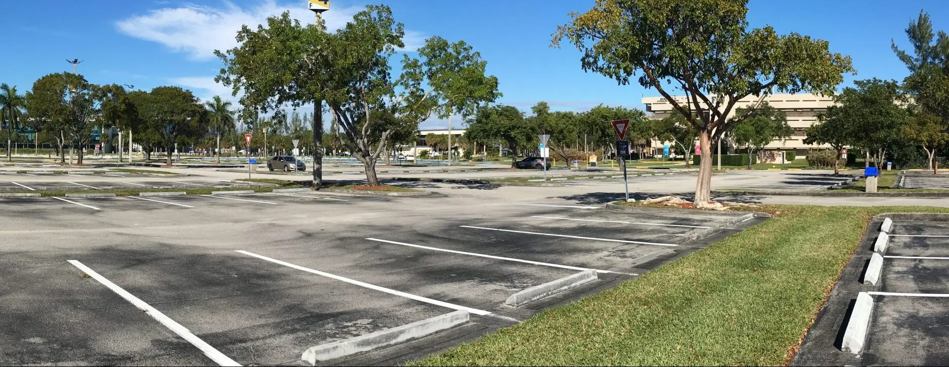 Parking lot scene with empty spaces and trees, highlighting potential hazards for slip and fall accidents related to parking lot design.