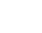 vector (32)