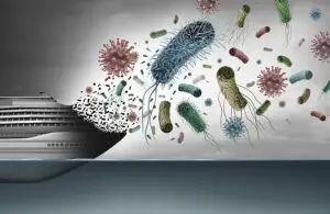 disease on ship and cruise liner virus outbreak and norovirus an